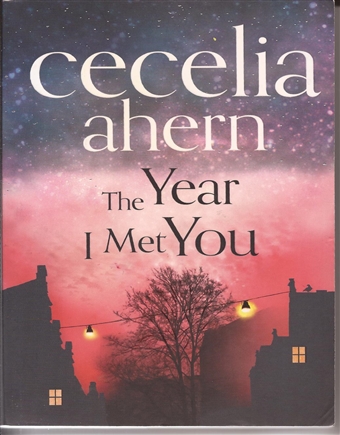 The Year I Met You   